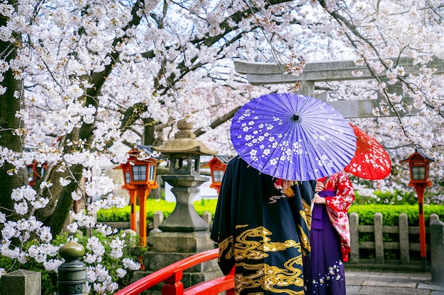 Turista vistiendo kimono tradicional japonés y flor de cerezo en primavera, templo de Kyoto en Japón.
