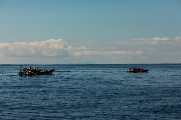 Turistas en un barco de avistamiento de ballenas