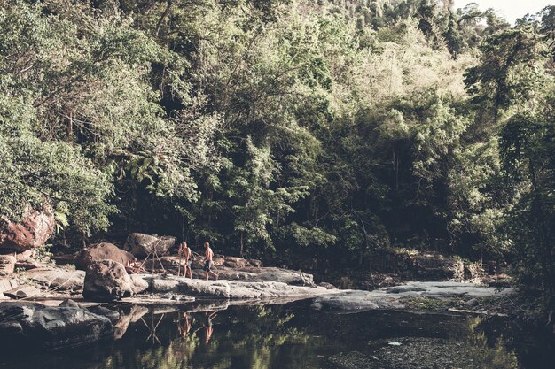 turistas caminan por el bosque