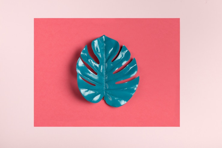 Photo Gratis turquoise leaf on pink background