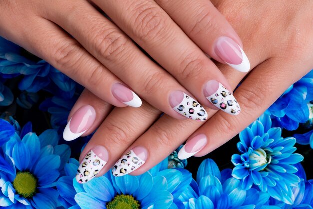 Uñas de mujer hermosa con hermoso diseño de manicura francesa y arte