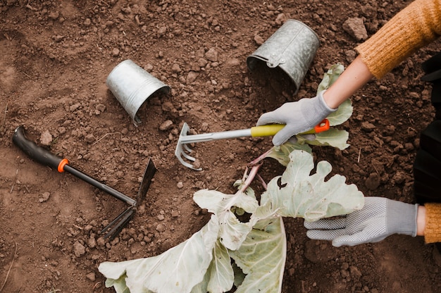 Utensilios de jardinería