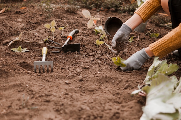 Foto gratuita utensilios de jardinería