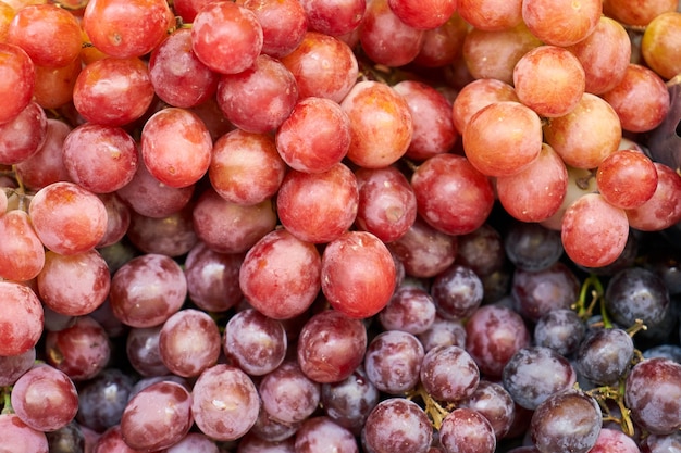 Uvas coloradas y moradas