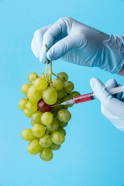 Foto gratuita uvas comestibles modificadas con productos químicos transgénicos