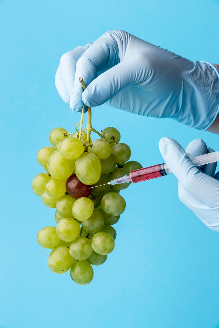 Foto gratuito uvas comestibles modificadas con productos químicos transgénicos