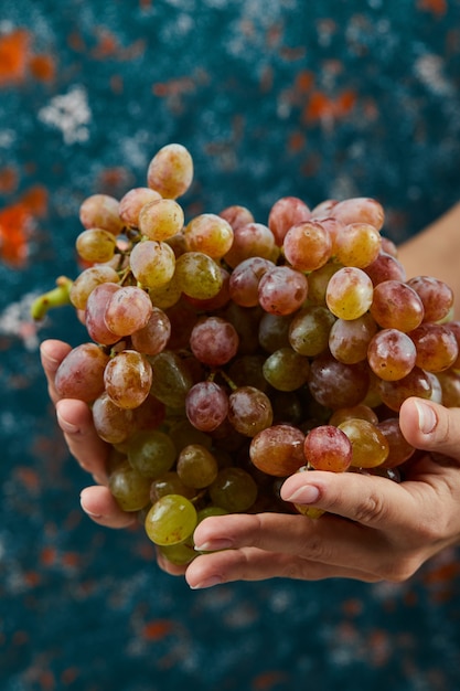 Foto gratuita uvas rojas frescas en mano sobre superficie azul