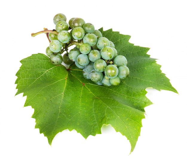 Uvas verdes