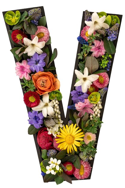 v letra hecha de flores y hojas naturales reales sobre un fondo blanco aislado