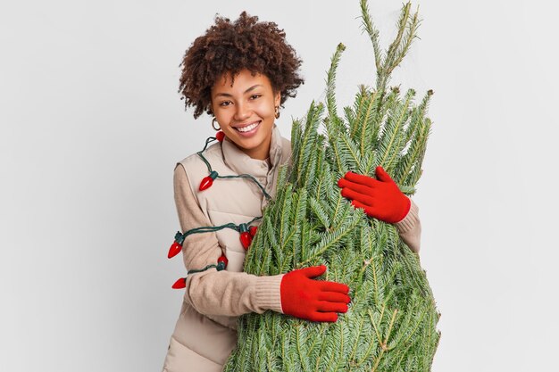 Vacaciones de invierno y concepto de preparación. Alegre mujer de piel oscura se apresura a casa con abeto verde que va a decorar para Año Nuevo, usa chaleco y guantes rojos con guirnalda alrededor del cuerpo. Decoración navideña