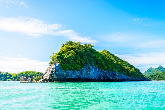 vacaciones mar árbol de la naturaleza paraíso