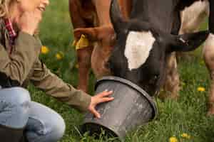 Foto gratuita vacas pastando en la granja
