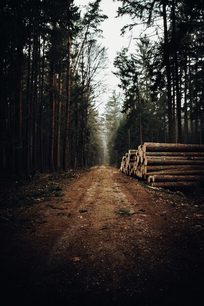 Valla de madera marrón en camino de tierra marrón