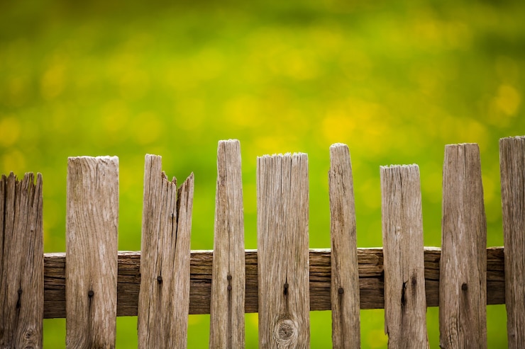 Foto gratuito valla de madera vieja en el jardín