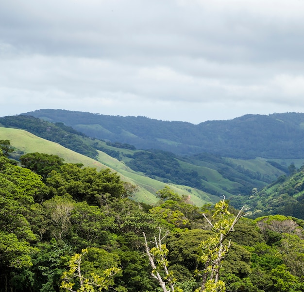 Valle pacífico natural y montaña en costa rica