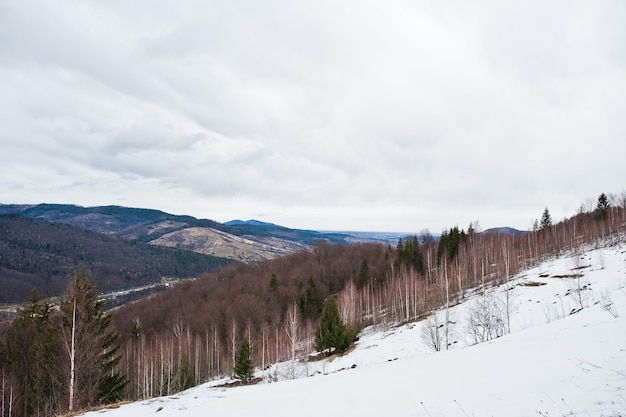 Valles montañosos nevados en las montañas de los Cárpatos Vista de los Cárpatos ucranianos y Yaremche desde la cima de Makovitsa