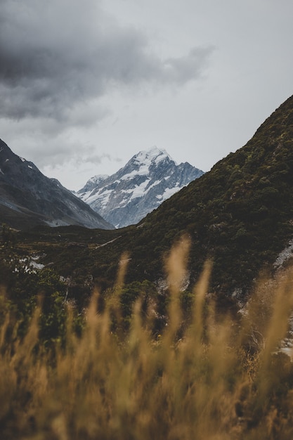 Foto gratuita valley track con vistas al monte cook en nueva zelanda