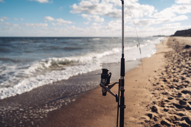 Varias cañas de pescar en una fila en la playa