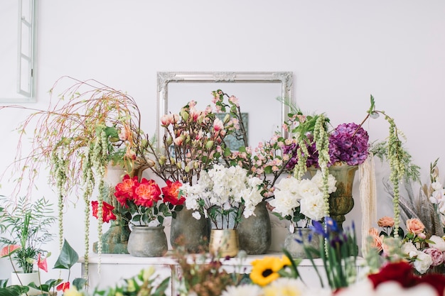 Varias flores y plantas en estante
