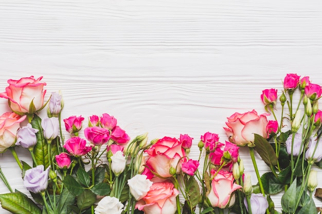 Varias rosas composición en blanco