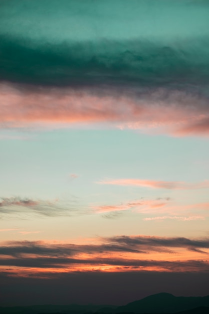 Foto gratuita variedad de colores en un hermoso cóctel.