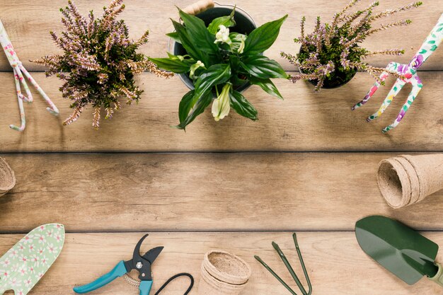 Variedad de equipos de jardinería; plantas floreciendo; maceta de turba dispuesta en el escritorio de madera