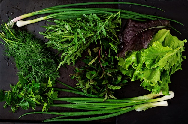 Variedad de hierbas orgánicas frescas (lechuga, rúcula, eneldo, menta, lechuga roja y cebolla) en estilo rústico. Vista superior