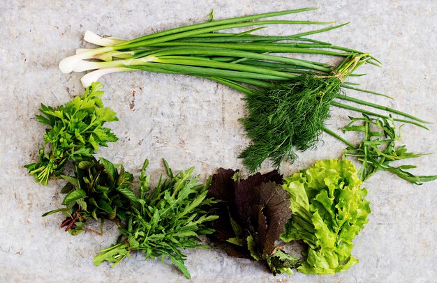 Variedad de hierbas orgánicas frescas (lechuga, rúcula, eneldo, menta, lechuga roja y cebolla). Vista superior