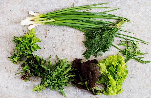 Variedad de hierbas orgánicas frescas (lechuga, rúcula, eneldo, menta, lechuga roja y cebolla). Vista superior