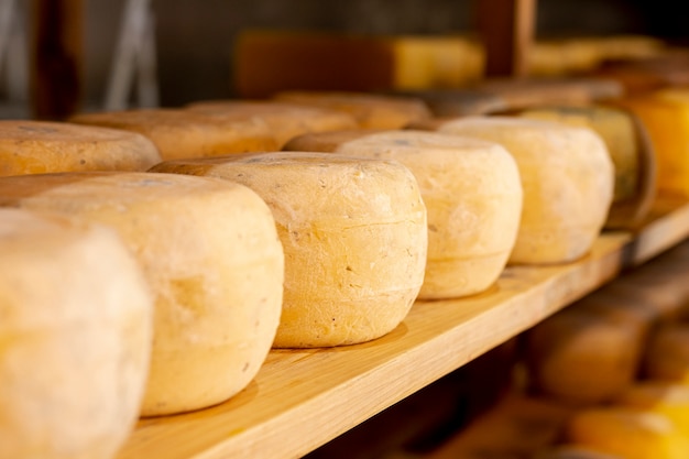 Variedad de queso molde con primer plano