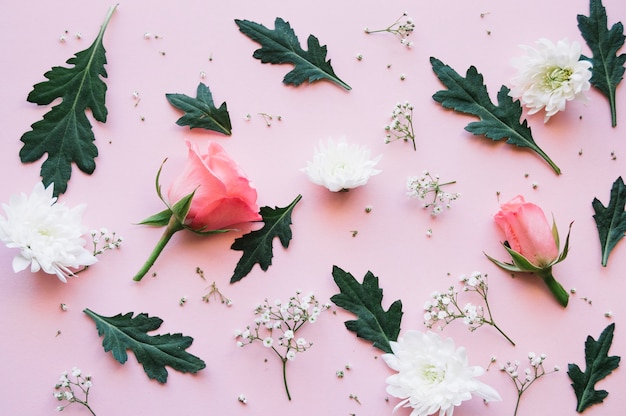 Foto gratuita variedad de rosas, flores blancas y hojas sobre una superficie de color rosa claro