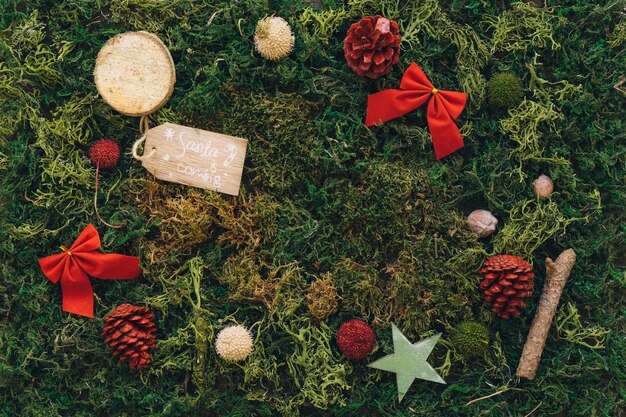 Varios elementos de navidad en césped verde