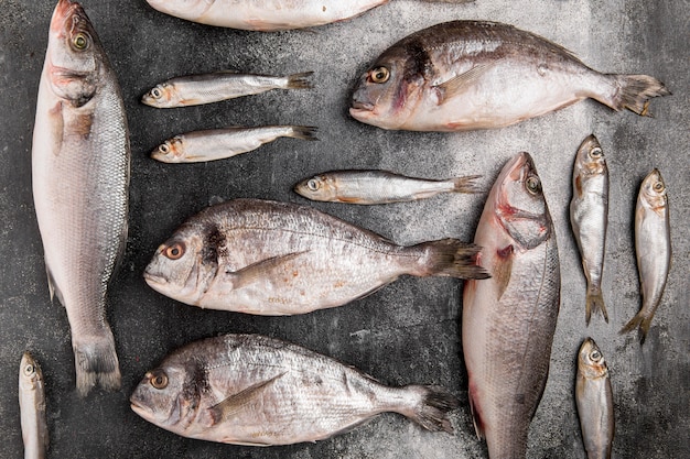 Foto gratuita varios pescados de mariscos plateados