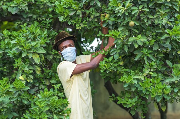 Varón joven afroamericano en una mascarilla protectora trabajando en su jardín