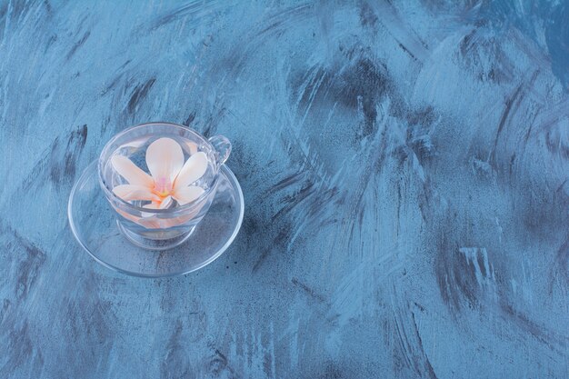 Vaso de cristal con agua y flor rosa sobre azul.