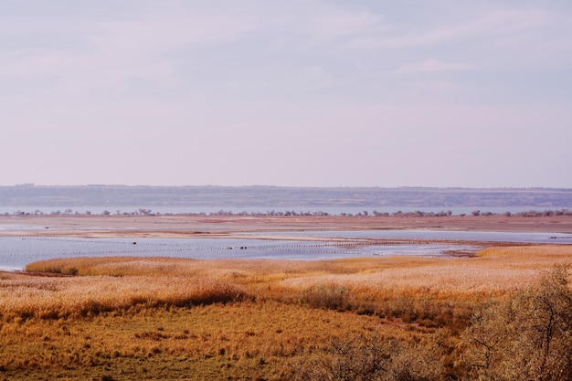 Vastas tierras cubiertas de hierba seca con el mar en invierno