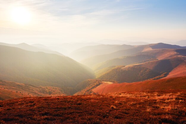 La vegetación de las tierras altas, un verano modesto y colores inusualmente hermosos, florece en otoño, antes del clima frío. Arándanos rojo brillante, verde bosque de coníferas, naranja buk- montañas sinie- encanto fantástico.