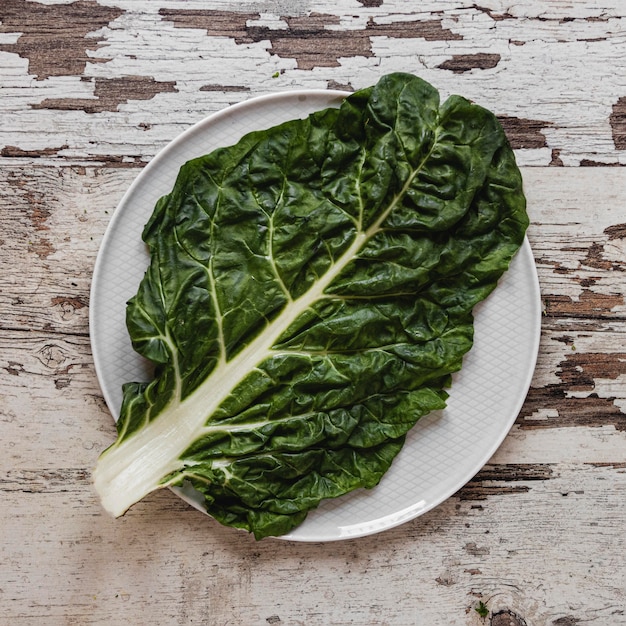 Foto gratuita vegetal verde orgánico para ensalada