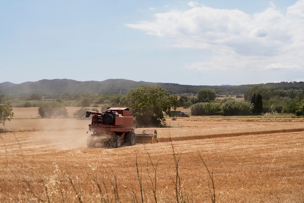 Foto gratuita vehículo y paisaje de campo hermoso