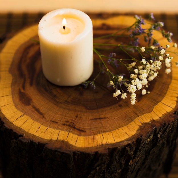 Foto gratuita velas aromáticas con flores en tocón de árbol