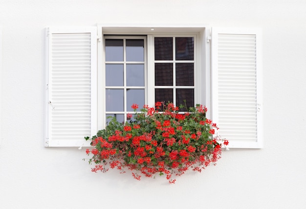 Foto gratuita ventana blanca y flores.