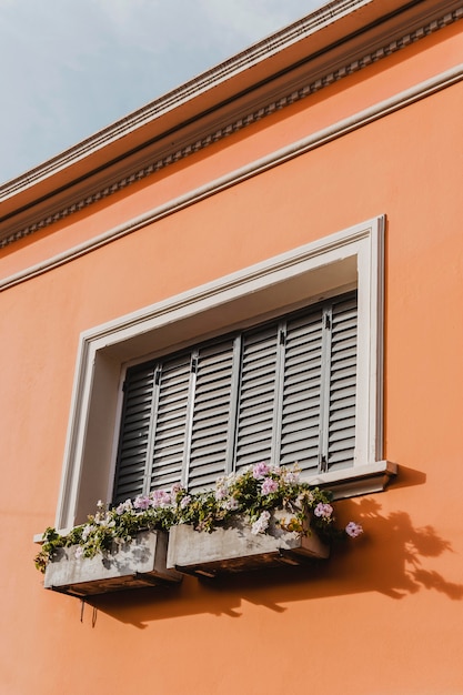 Ventana del edificio en la ciudad con flores.