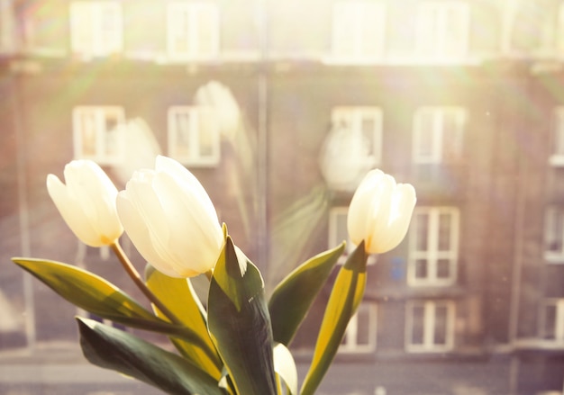 Foto gratuita ventana con flores