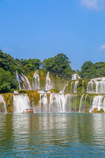 Verano de fondo de la hoja de agua de bosque al aire libre