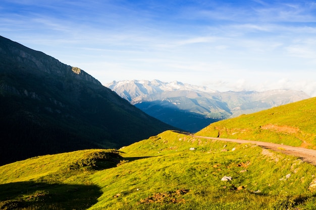 Verano, vista, altiplano, pradera