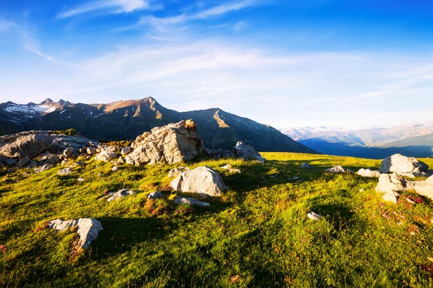 Verano vista de pradera de montaña en los Pirineos