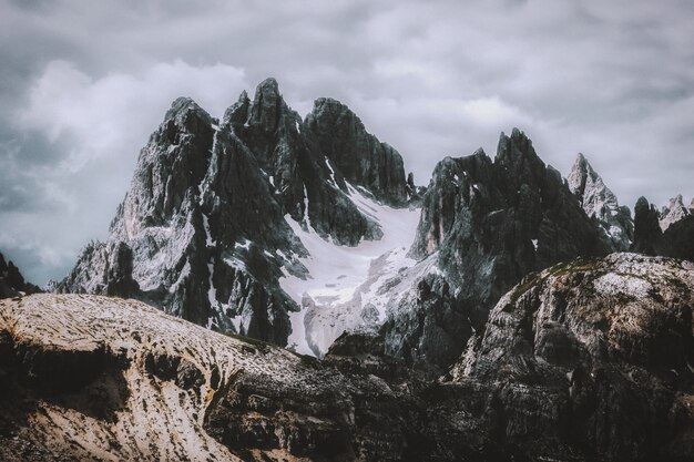 Verde y blanco cubierto de nieve