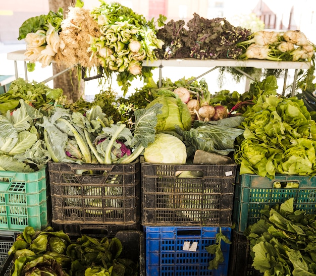 Verduras frescas embaladas en caja de plástico en la tienda de comestibles