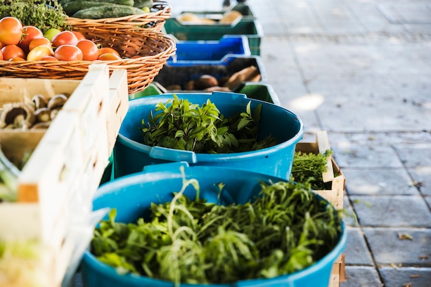 Verduras frescas y orgánicas en el mercado de agricultores