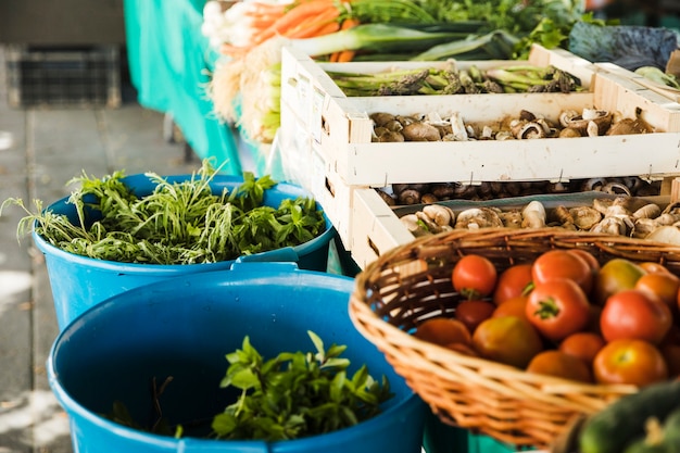 Verduras frescas con setas en cajón de madera en puesto de mercado